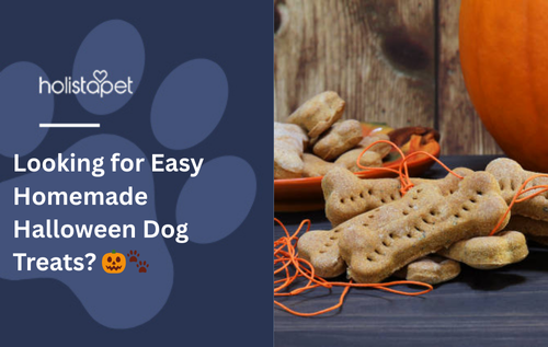 Looking for Easy Homemade Halloween Dog Treats? 🎃🐾