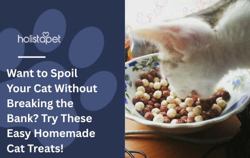 Want to Spoil Your Cat Without Breaking the Bank? Try These Easy Homemade Cat Treats!