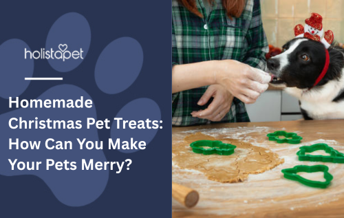 Homemade Christmas Pet Treats: How Can You Make Your Pets Merry?