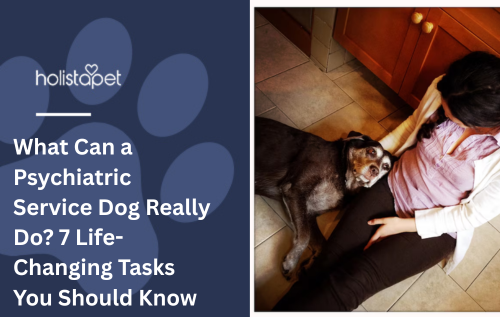 What Can a Psychiatric Service Dog Really Do? 7 Life-Changing Tasks You Should Know