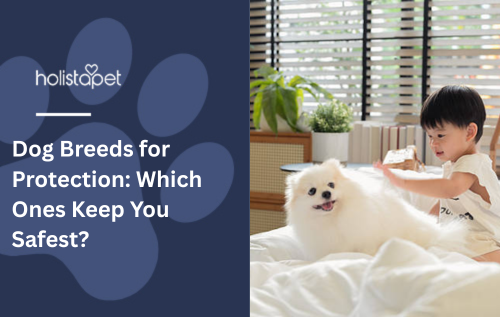 Dog Breeds for Protection: Which Ones Keep You Safest?