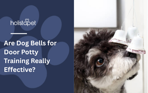 Are Dog Bells for Door Potty Training Really Effective?