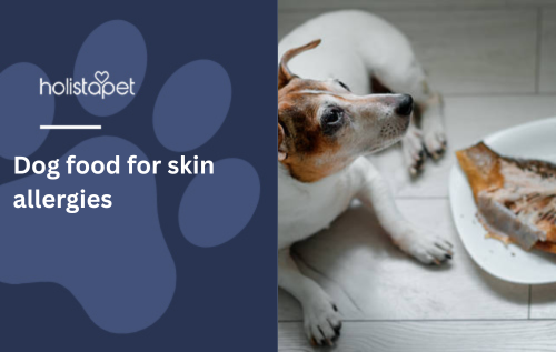 Dog food for skin allergies