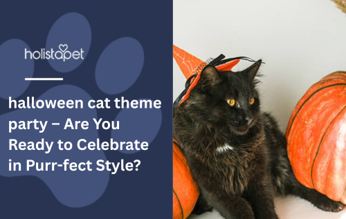 halloween cat theme party – Are You Ready to Celebrate in Purr-fect Style?