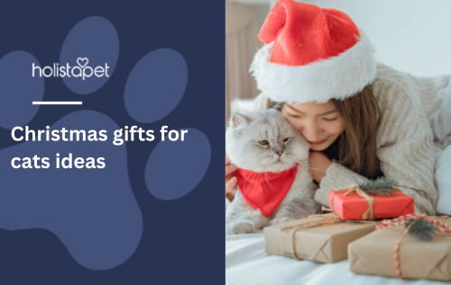 Christmas gifts for cats ideas