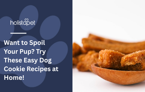 Want to Spoil Your Pup? Try These Easy Dog Cookie Recipes at Home!