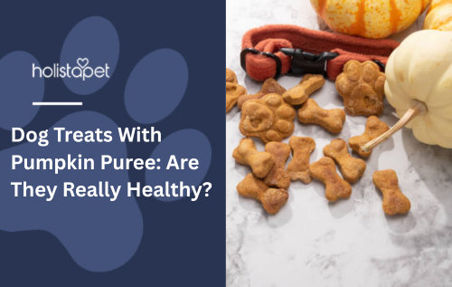Dog Treats With Pumpkin Puree: Are They Really Healthy?