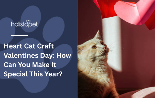 Heart Cat Craft Valentines Day: How Can You Make It Special This Year?