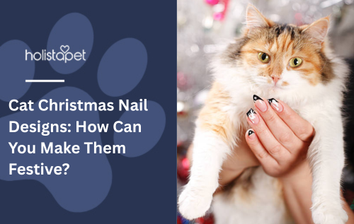 Cat Christmas Nail Designs: How Can You Make Them Festive?