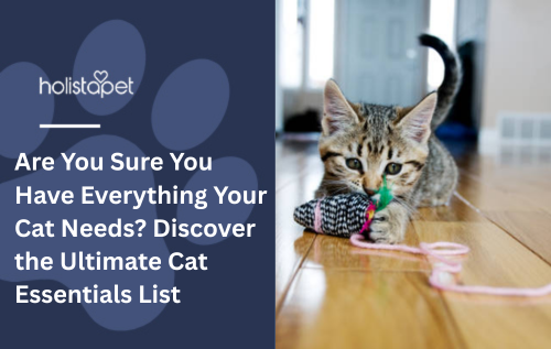 Are You Sure You Have Everything Your Cat Needs? Discover the Ultimate Cat Essentials List
