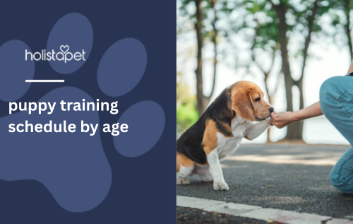 puppy training schedule by age
