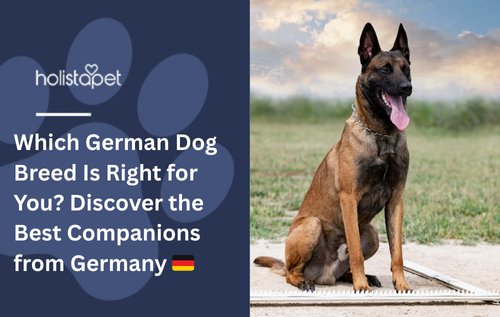 Which German Dog Breed Is Right for You? Discover the Best Companions from Germany 🇩🇪