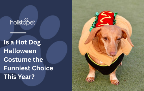 Is a Hot Dog Halloween Costume the Funniest Choice This Year?