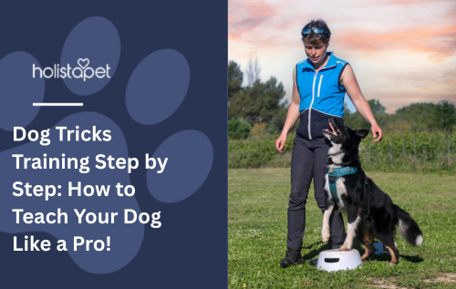 Dog Tricks Training Step by Step: How to Teach Your Dog Like a Pro!