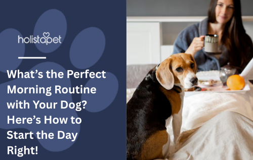 What’s the Perfect Morning Routine with Your Dog? Here’s How to Start the Day Right!