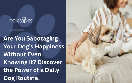Are You Sabotaging Your Dog’s Happiness Without Even Knowing It? Discover the Power of a Daily Dog Routine!