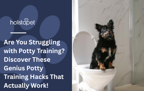 Are You Struggling with Potty Training? Discover These Genius Potty Training Hacks That Actually Work!