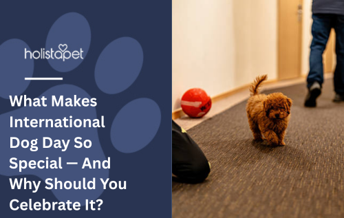 What Makes International Dog Day So Special — And Why Should You Celebrate It?