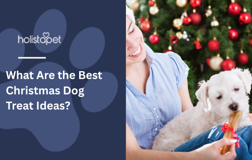 What Are the Best Christmas Dog Treat Ideas?