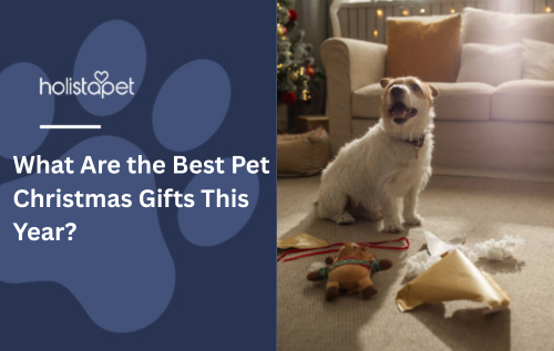 What Are the Best Pet Christmas Gifts This Year?