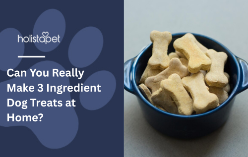 Can You Really Make 3 Ingredient Dog Treats at Home?