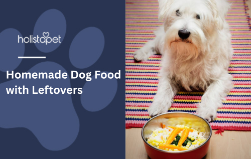 Homemade Dog Food with Leftovers