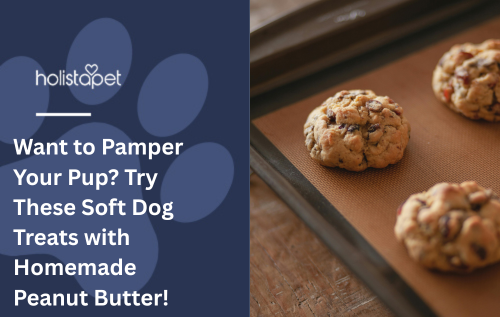 Want to Pamper Your Pup? Try These Soft Dog Treats with Homemade Peanut Butter!