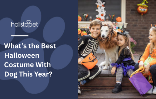 What’s the Best Halloween Costume With Dog This Year?