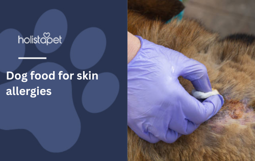 Dog skin irritation remedies