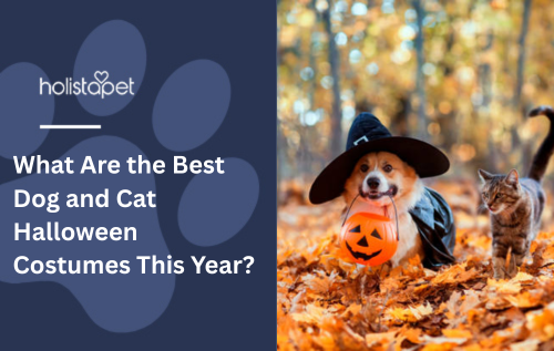 What Are the Best Dog and Cat Halloween Costumes This Year?