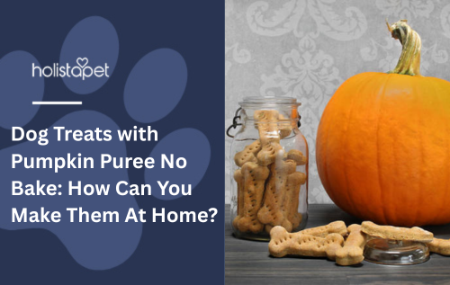Dog Treats with Pumpkin Puree No Bake: How Can You Make Them At Home?
