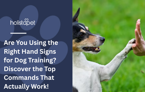 Are You Using the Right Hand Signs for Dog Training? Discover the Top Commands That Actually Work!