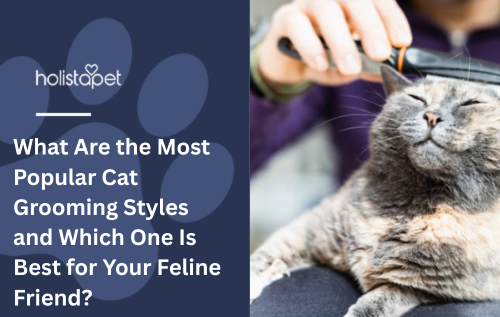What Are the Most Popular Cat Grooming Styles and Which One Is Best for Your Feline Friend?
