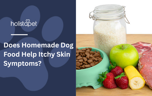 Does Homemade Dog Food Help Itchy Skin Symptoms?