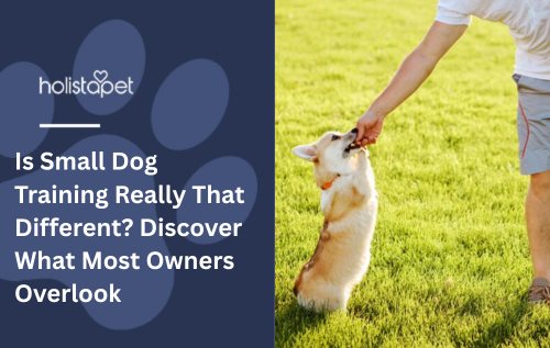 Is Small Dog Training Really That Different? Discover What Most Owners Overlook