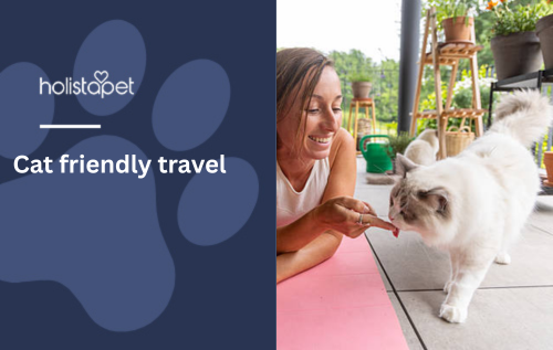 Cat friendly travel