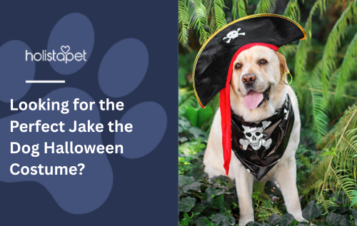 Looking for the Perfect Jake the Dog Halloween Costume?