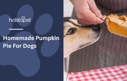 Homemade Pumpkin Pie For Dogs