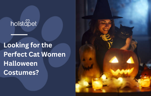 Looking for the Perfect Cat Women Halloween Costumes?