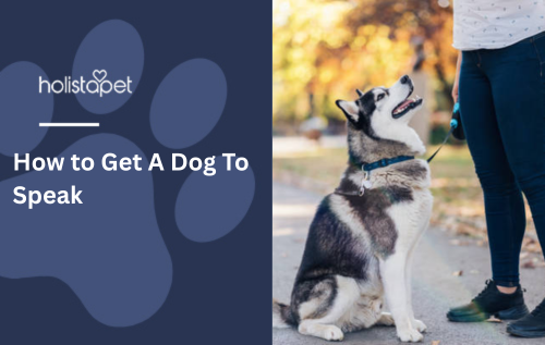 How to Get A Dog To Speak