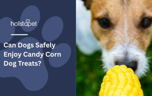 Can Dogs Safely Enjoy Candy Corn Dog Treats?