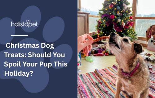 Christmas Dog Treats: Should You Spoil Your Pup This Holiday?