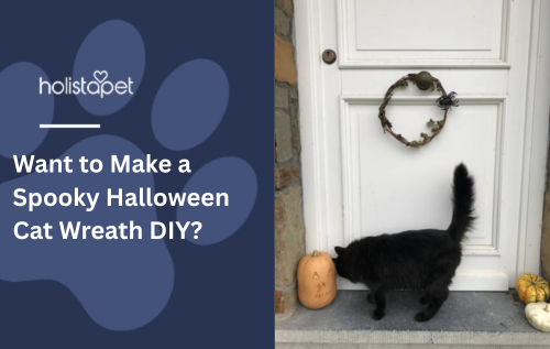 Want to Make a Spooky Halloween Cat Wreath DIY?