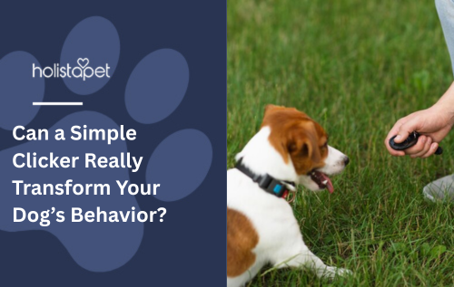 Can a Simple Clicker Really Transform Your Dog’s Behavior?