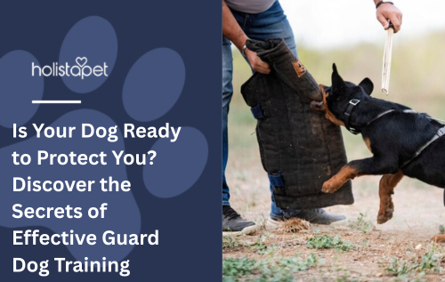Is Your Dog Ready to Protect You? Discover the Secrets of Effective Guard Dog Training