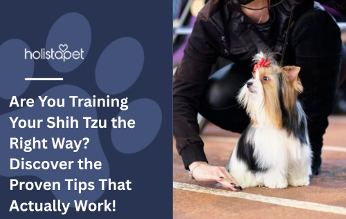 Are You Training Your Shih Tzu the Right Way? Discover the Proven Tips That Actually Work!