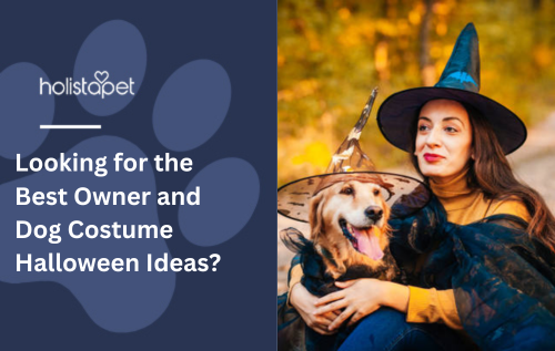 Looking for the Best Owner and Dog Costume Halloween Ideas?