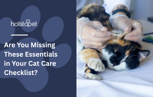 Are You Missing These Essentials in Your Cat Care Checklist?