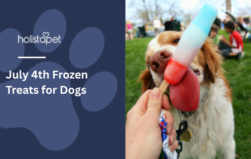 July 4th Frozen Treats for Dogs