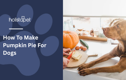 How To Make Pumpkin Pie For Dogs